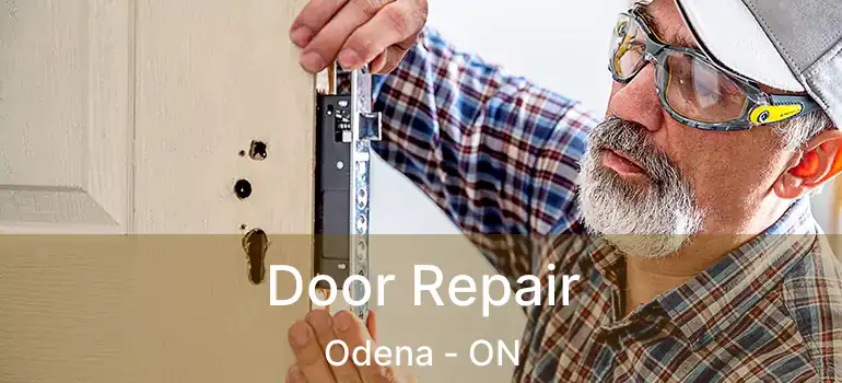  Door Repair Odena - ON