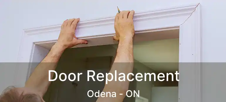  Door Replacement Odena - ON