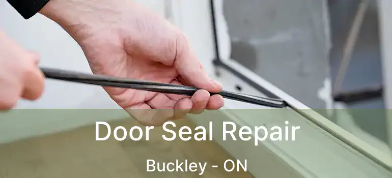  Door Seal Repair Buckley - ON