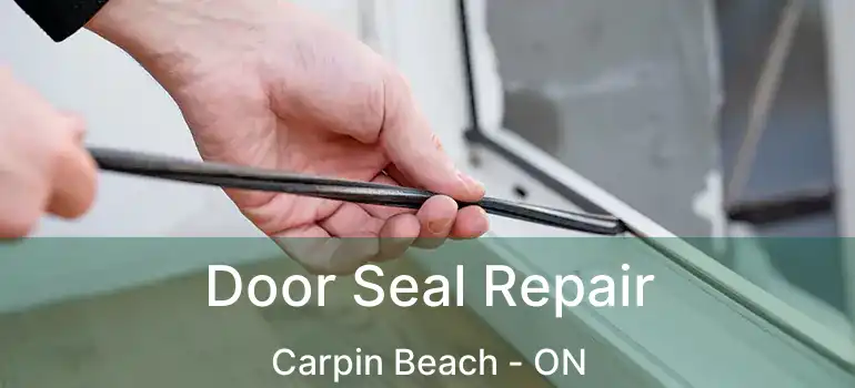  Door Seal Repair Carpin Beach - ON