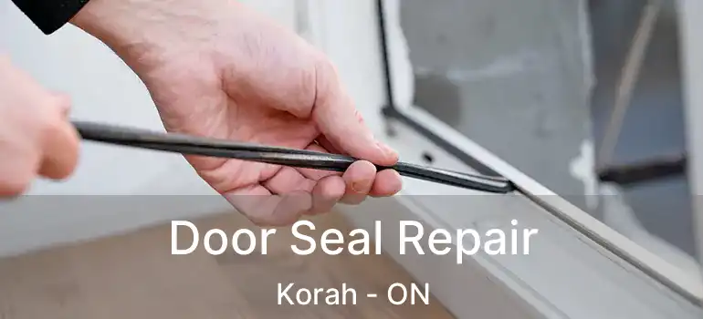  Door Seal Repair Korah - ON