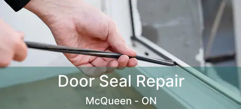  Door Seal Repair McQueen - ON