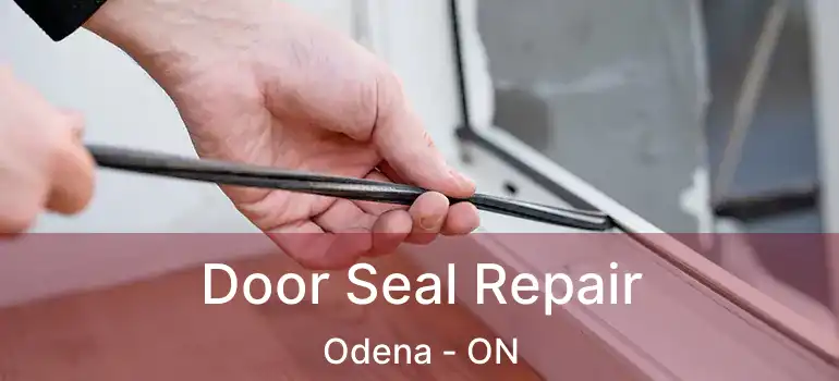  Door Seal Repair Odena - ON