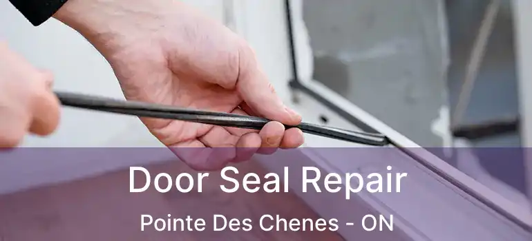  Door Seal Repair Pointe Des Chenes - ON