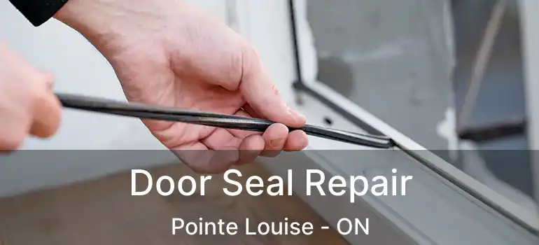  Door Seal Repair Pointe Louise - ON