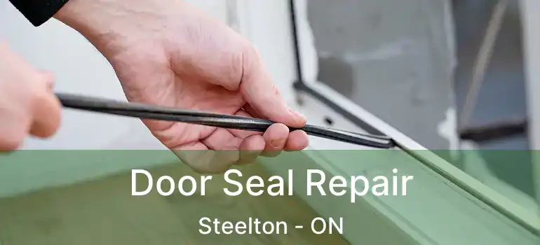  Door Seal Repair Steelton - ON