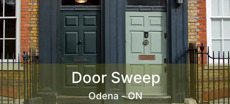  Door Sweep Odena - ON