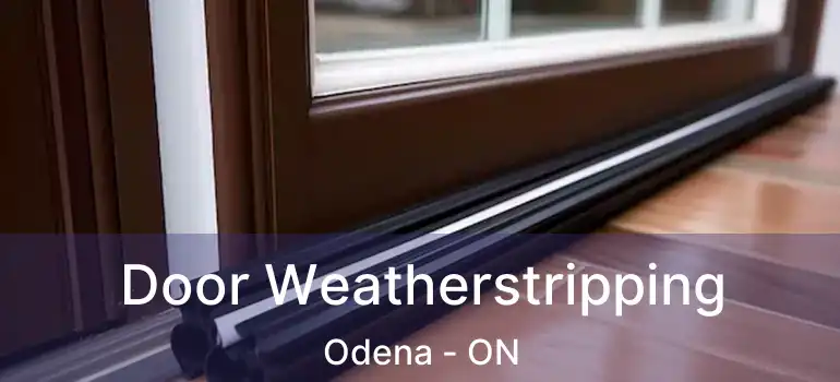  Door Weatherstripping Odena - ON