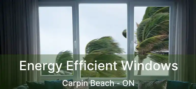  Energy Efficient Windows Carpin Beach - ON