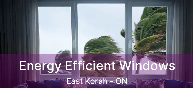  Energy Efficient Windows East Korah - ON