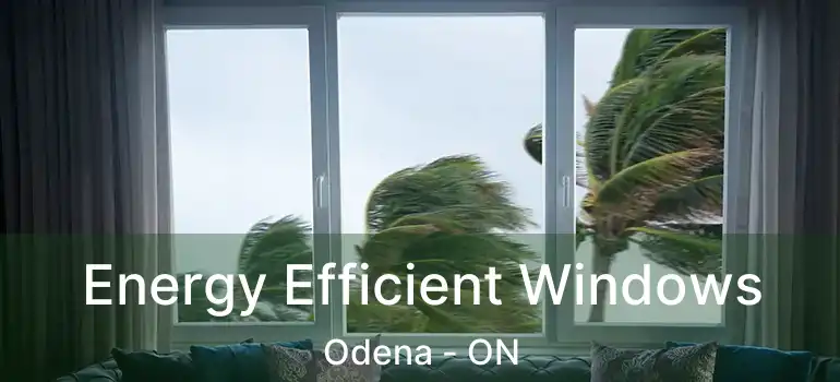  Energy Efficient Windows Odena - ON