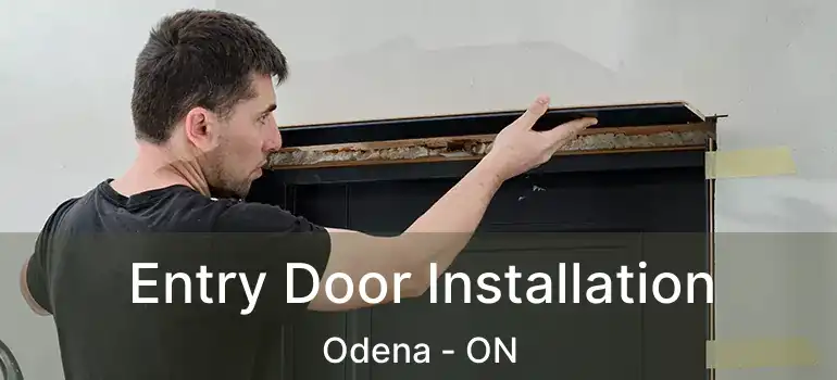  Entry Door Installation Odena - ON