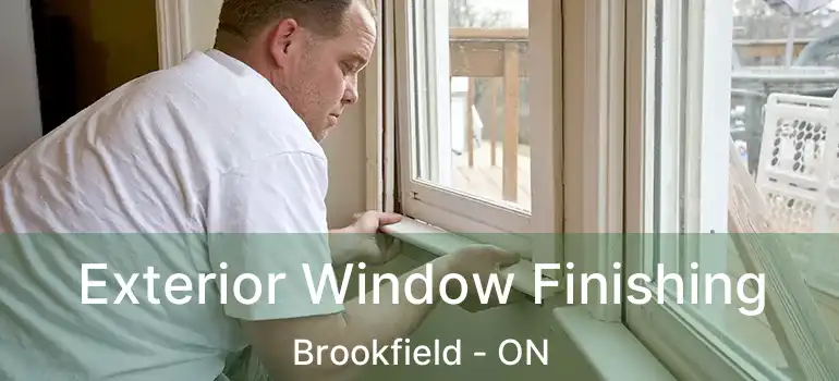  Exterior Window Finishing Brookfield - ON