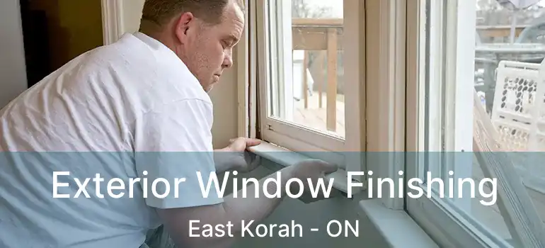  Exterior Window Finishing East Korah - ON