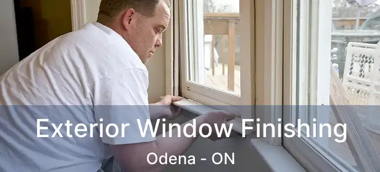  Exterior Window Finishing Odena - ON