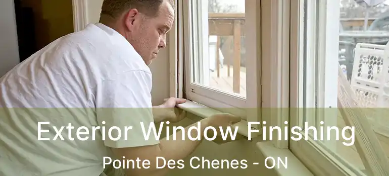  Exterior Window Finishing Pointe Des Chenes - ON