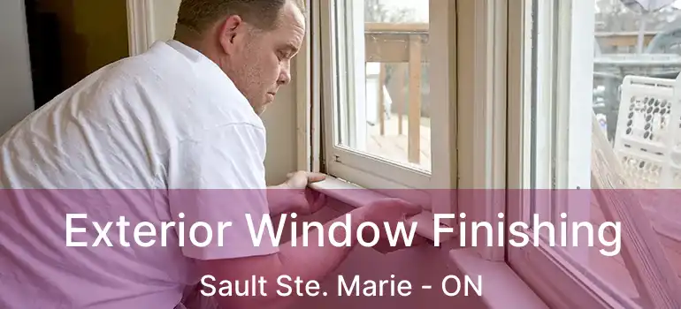  Exterior Window Finishing Sault Ste. Marie - ON