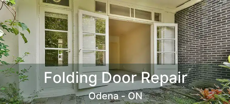  Folding Door Repair Odena - ON