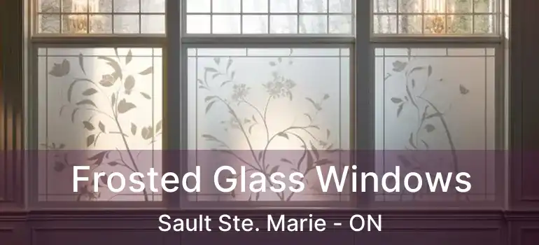  Frosted Glass Windows Sault Ste. Marie - ON