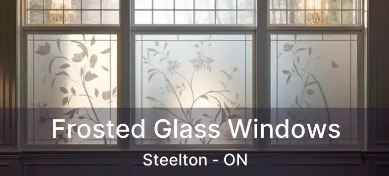  Frosted Glass Windows Steelton - ON