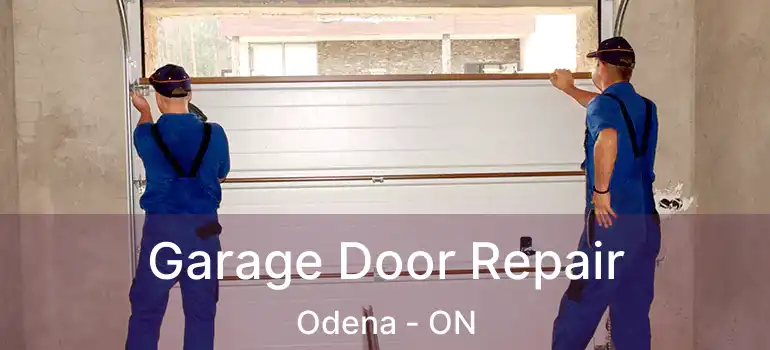  Garage Door Repair Odena - ON