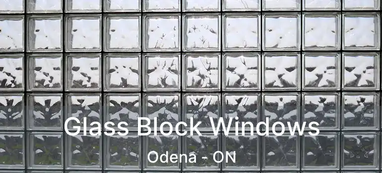  Glass Block Windows Odena - ON