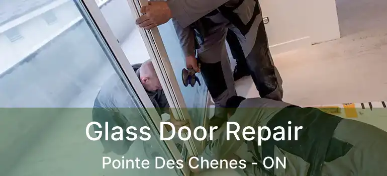  Glass Door Repair Pointe Des Chenes - ON