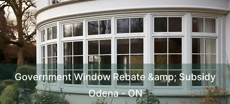  Government Window Rebate & Subsidy Odena - ON