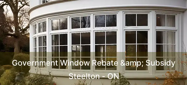  Government Window Rebate & Subsidy Steelton - ON