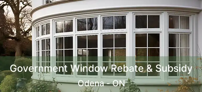  Government Window Rebate & Subsidy Odena - ON
