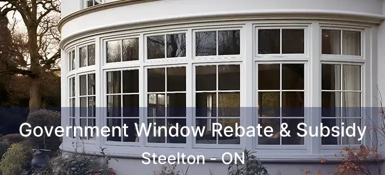  Government Window Rebate & Subsidy Steelton - ON
