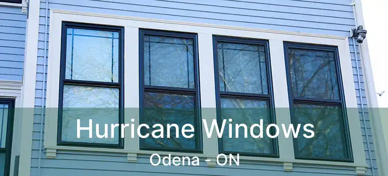  Hurricane Windows Odena - ON