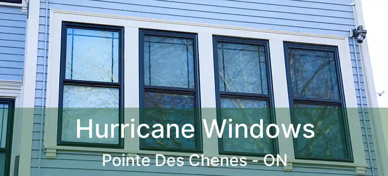  Hurricane Windows Pointe Des Chenes - ON