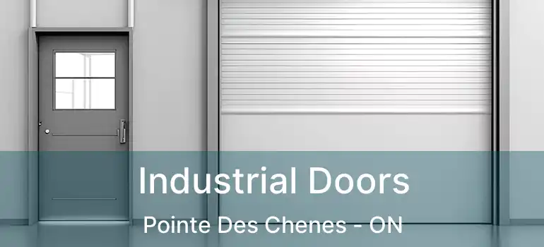  Industrial Doors Pointe Des Chenes - ON