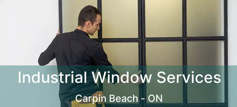  Industrial Window Services Carpin Beach - ON