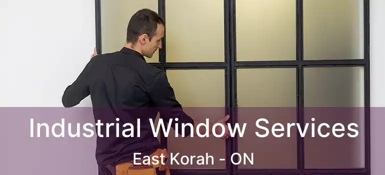  Industrial Window Services East Korah - ON