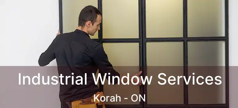  Industrial Window Services Korah - ON