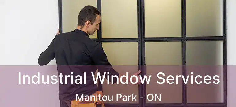  Industrial Window Services Manitou Park - ON