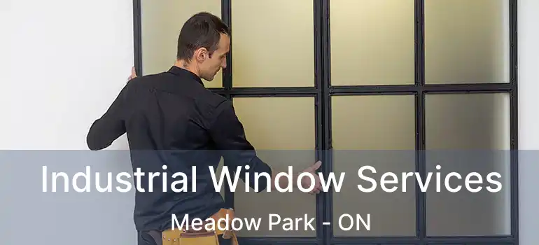  Industrial Window Services Meadow Park - ON