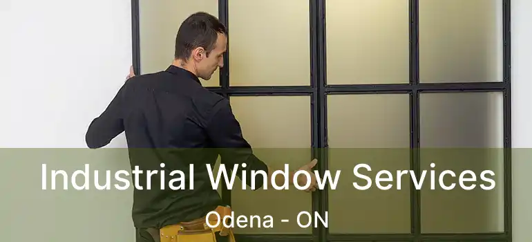  Industrial Window Services Odena - ON