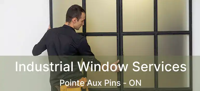  Industrial Window Services Pointe Aux Pins - ON