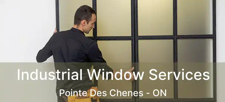  Industrial Window Services Pointe Des Chenes - ON