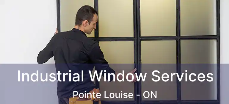  Industrial Window Services Pointe Louise - ON