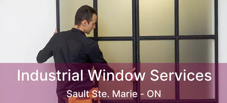  Industrial Window Services Sault Ste. Marie - ON