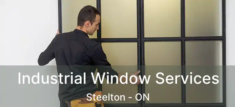  Industrial Window Services Steelton - ON