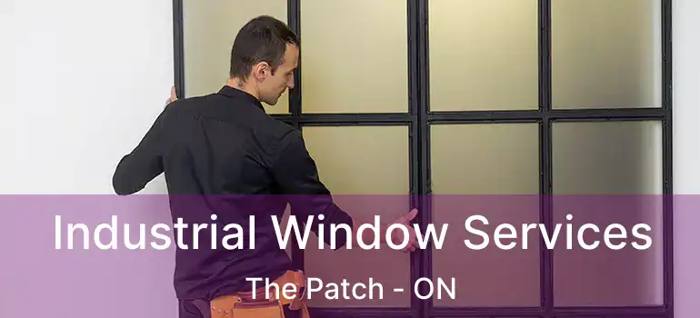  Industrial Window Services The Patch - ON
