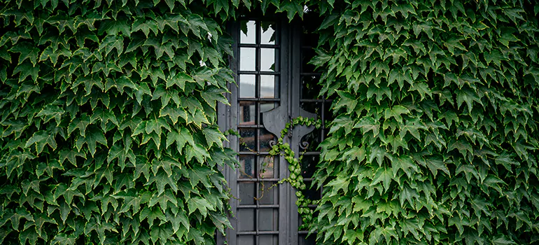 Garden Gate Repair in Sault Ste. Marie, ON