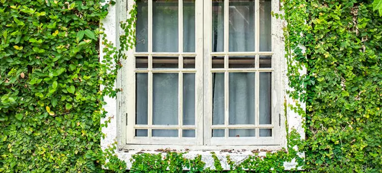 arden Window Repair Near Me in Sault Ste. Marie, ON
