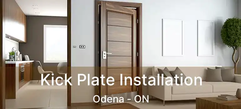  Kick Plate Installation Odena - ON