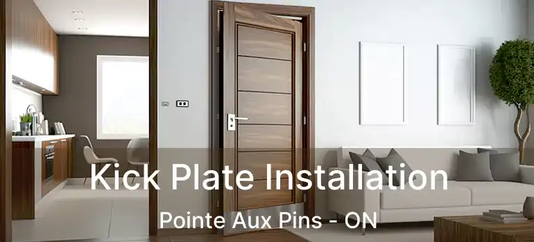  Kick Plate Installation Pointe Aux Pins - ON